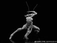 画像4: SEXYiCE 蟲 VERMIN シリーズ 実験体 B0127 カマキリ 1/12スケール可動フィギュア