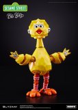 画像6: CARBOTIX BIG BIRD