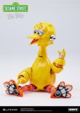 画像16: CARBOTIX BIG BIRD