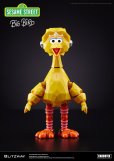 画像1: CARBOTIX BIG BIRD (1)