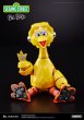 画像9: CARBOTIX BIG BIRD (9)