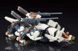 画像5: 『ゾイド -ZOIDS-』 RZ-009 コマンドウルフAC&LC マーキングプラスVer. (5)